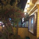 대웅사약국 이미지