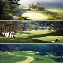 용평리조트골프클럽(회원제) 네이버블로그