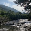 에듀온주 | [광양 계곡]애견동반가능한 광양계곡 평상대여 ‘살구네 농원’