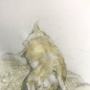 어화둥둥 내강아지 이미지