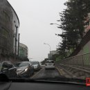 서대문명소 &#39;서대문자연사박물관&#39; 둘러보기