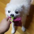 민CARE1 이미지