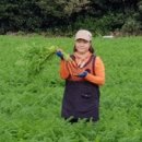 귤하우스 이미지