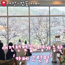 그린힐 | 대전 벚꽃 카페 옥계동 카페 그린힐 방문 후기 애견동반 주차장