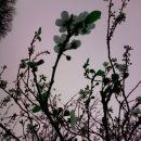 송이네민박 이미지