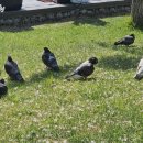 끼리끼리 노래연습장 이미지