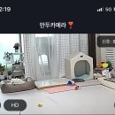 스테이 고요미 | 강아지쇼파추천 중형견도 거뜬한 펫프 스테이방석