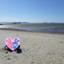 석모도라웁펜션 이미지