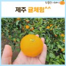 동호농산