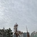 파콘헤어 | 191130 뒷북 장난 아닌 멜뮤 스탠딩 후기💚