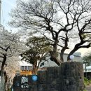 해누리펜션 | 제주 서귀포 중문 독채펜션 | 에어비앤비 숙소 해누리펜션