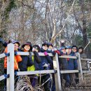 소포마을도로 이미지