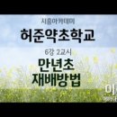 만년초 이미지