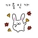 소망애견 이미지