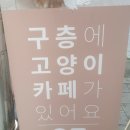 고양이별 캣 카페 이미지