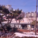 쌍용지하도(쌍용대로) 이미지