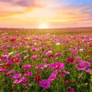 중산문화센터 이미지