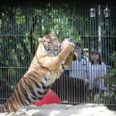 서울대공원 이미지