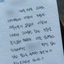 송파구보건지소 | [임신일기] 30주차(증상, 배크기, 소베맘, 바이오가이아유산균, 정기검진, 킹키부츠,흑염소, 셀프만삭...