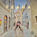 의료법인 안아픈마을 | 체코 프라하여행 근교 소도시 체스키크롬로프 당일치기 버스투어 밀리유럽