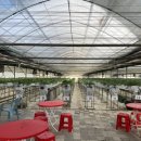 월롱농장 이미지