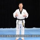 Taekwon Channel [Taekuk 1jang 태극1장] 한 품 한 품, 용인대학교 태권도학과 교수님이 알려주는 '품새 원리 이미지