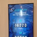 24시 인천 이음동물의료센터 | 24시인천이음동물의료센터에서 믿고 맡기는 반려동물 건강검진의 모든 것