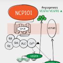 주식회사노바셀테크놀로지 이미지
