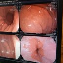 영광종합병원 이미지