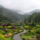 동화나라주 이미지