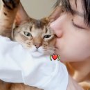 텐카페 이미지