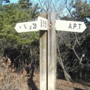 현일초교도로 이미지