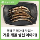 생선이야기 이미지