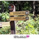 지양산 생태순환길 이미지