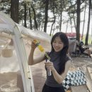 전북 고창 구시포 해수욕장 바다뷰 '노을 캠핑장' 이용 후기. 사이트, 예약, 시설 안내.