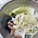 신미방 마라탕 | 의정부시내맛집 [신미방마라탕 의정부직영점] 마라탕탕탕 찐맛집 추천