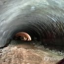 도군로-2 연합뉴스