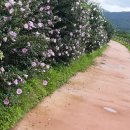 주남펜션민박 이미지