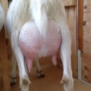 대굴령마을 이미지