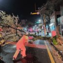 강정동-45 이미지