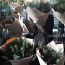 플로리스트 이미지