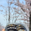 연지김밥 - 사하구 장평로 451-1 | 연지김밥