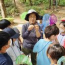 여름곤충 탐구생활 이미지