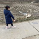 현빈이네청과