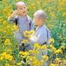 아비지 - 하남시 미사강변남로 131 | 아비지