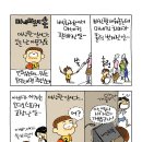 마이다스의손 이미지