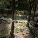 포도나무어린이집 이미지