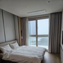 소노펠리체 델피노 이미지