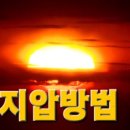종부테라피