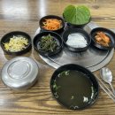 쭈향 네이버블로그